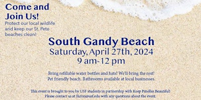 Imagem principal do evento Beach Clean-up at Gandy Beach