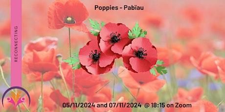 Poppies - Pabïau