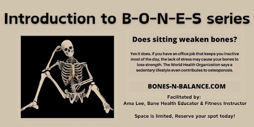Immagine principale di Introduction to B-O-N-E-S series 