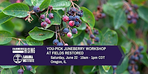 You-Pick Juneberry Workshop at Fields Restored primary image
