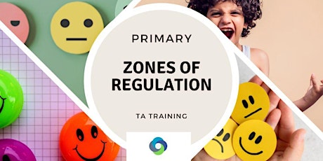 SEaTSS Primary TA Training-Zones of regulation