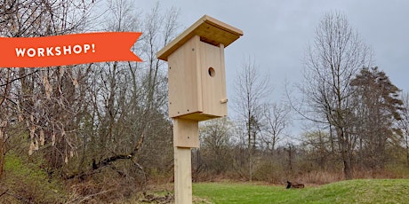 Build the Perfect Bluebird House!