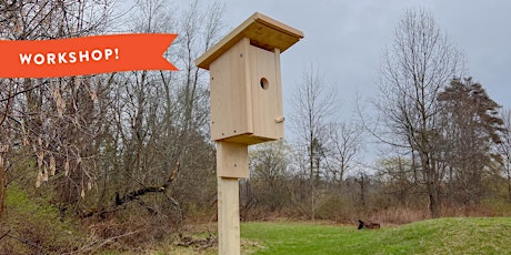 Build the Perfect Bluebird House!