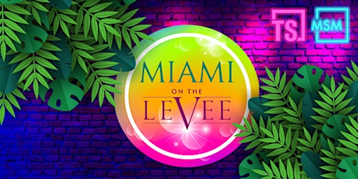 Miami On The LeVee primary image