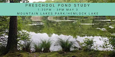 Preschool Pond Study Hike primary image