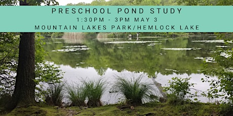 Preschool Pond Study Hike