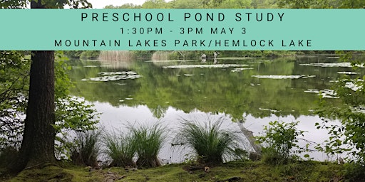 Imagem principal do evento Preschool Pond Study Hike