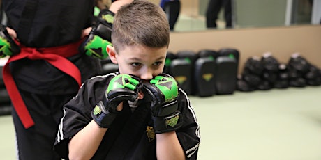 Free Kids Introductory Martial Arts Class