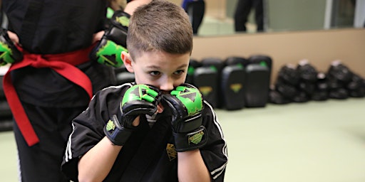 Free Kids Introductory Martial Arts Class primary image