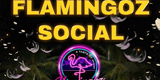 Imagem principal do evento Beta Nu Flamingoz Social