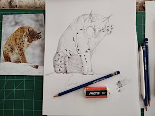 Drawing From Nature: Illustration Techniques with Graphite