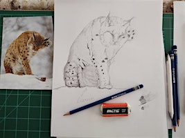Drawing From Nature: Illustration Techniques with Graphite  primärbild