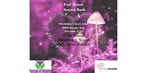 Full Moon Sound Bath and Potluck primary image