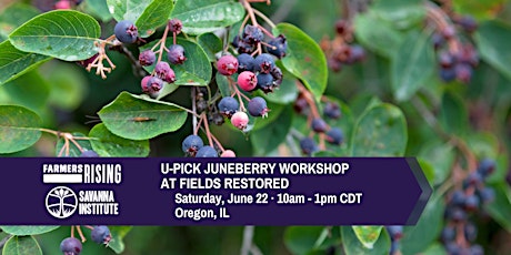 U-Pick Juneberry Workshop at Fields Restored