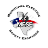 Texas MESE's Logo