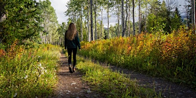 Image principale de Forest Meditation Walk