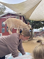 Imagen principal de Goat yoga fundraiser