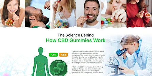 CBD Guru Gummies United Kingdom Review – Obvious Hoax or Actually Works? primary image