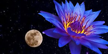 Primaire afbeelding van Full Moon Blue Lotus Tea Ceremony + Sound Healing