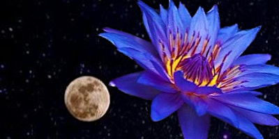 Imagen principal de Full Moon Blue Lotus Tea Ceremony + Sound Healing