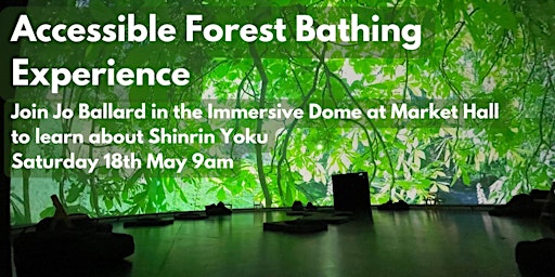 Image principale de Accessible Forest Bathing in the Immersive Dome