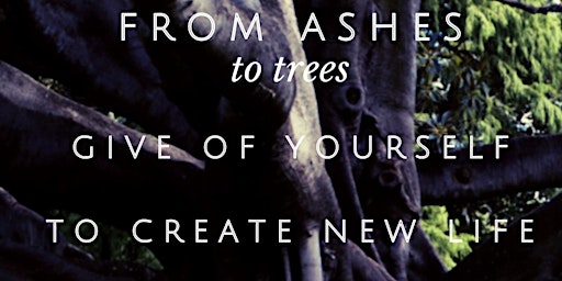 FROM ASHES TO TREES - GIVE OF YOURSELF TO CREATE NEW LIFE