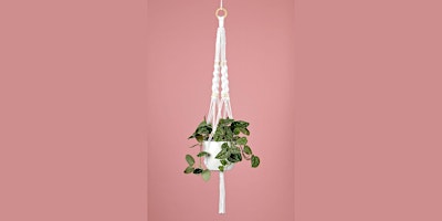 Immagine principale di Introduction to Macramé - Make a Plant Hanger with Hannah Sibai 