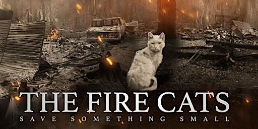 Imagem principal do evento Fire Cats - Free Movie Night