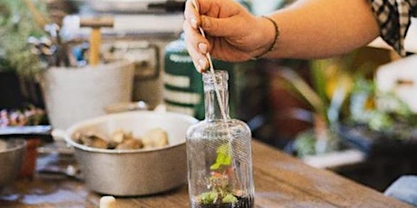 Recycled Terrariums - Share some You Time