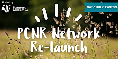PCNR Network Re-launch  primärbild