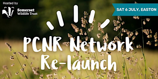Hauptbild für PCNR Network Re-launch
