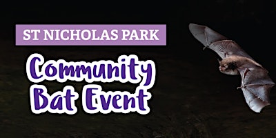 St Nicholas Park community bat event  primärbild