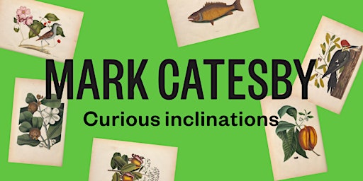 Imagem principal do evento Opening exhibition 'Mark Catesby - Curious inclinations'
