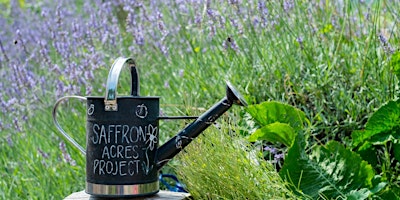 Saffron Acres: community food growing and environmental project  primärbild