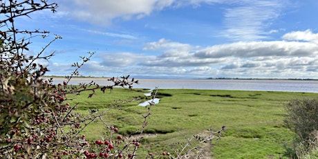 A full day guided minibus tour of the Cumbrian inner Solway coast
