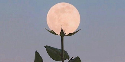 Full Moon Yoga - Flower Moon  primärbild