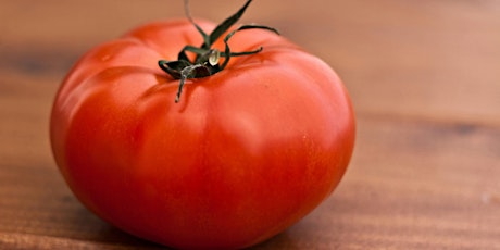 Tomato-tastic!  primärbild