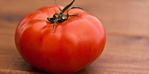 Imagem principal do evento Tomato-tastic!