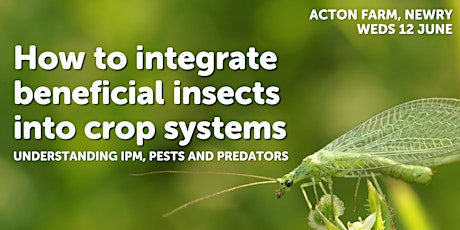 How to Integrate Beneficial Insects into Crop Systems