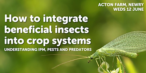 Primaire afbeelding van How to Integrate Beneficial Insects into Crop Systems