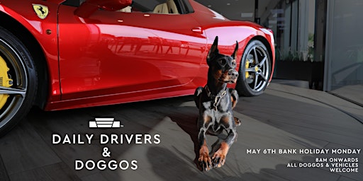 Daily Drivers & Doggos | Car Meet primary image