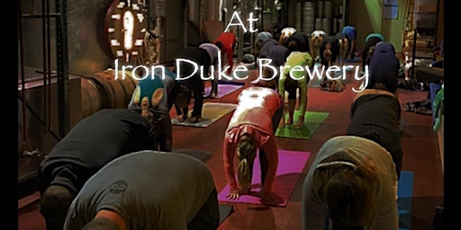 Imagem principal de Fundraiser: Feline Friends Cat Sanctuary Yoga & Beer at Iron Duke Brewing
