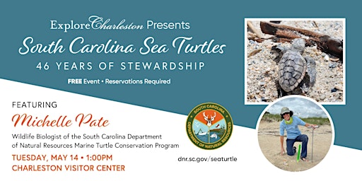 Primaire afbeelding van South Carolina Sea Turtles - 46 years of stewardship