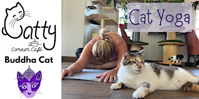 Cat Yoga at Catty Corner Cafe primary image