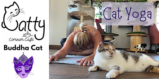 Imagem principal do evento Cat Yoga at Catty Corner Cafe