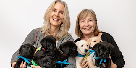 Virtual Info. Session- Breeder Caretaker Volunteer for Canine Companions