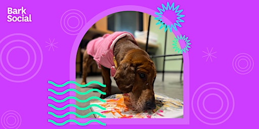 Imagem principal do evento Pupcasso Doggy Paint Night at Bark Social Baltimore!