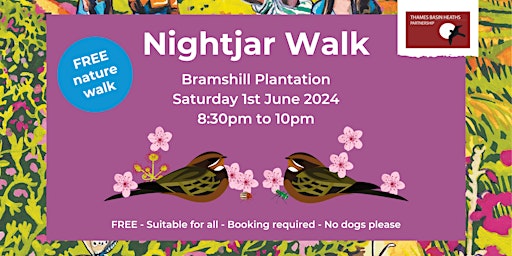 Imagem principal de Nightjar Walk at Bramshill Plantation