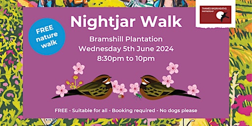 Imagem principal do evento Nightjar Walk at Bramshill Plantation