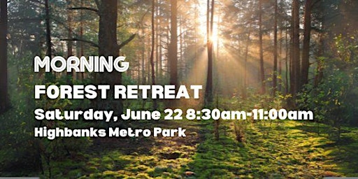 Morning Forest Retreat  primärbild